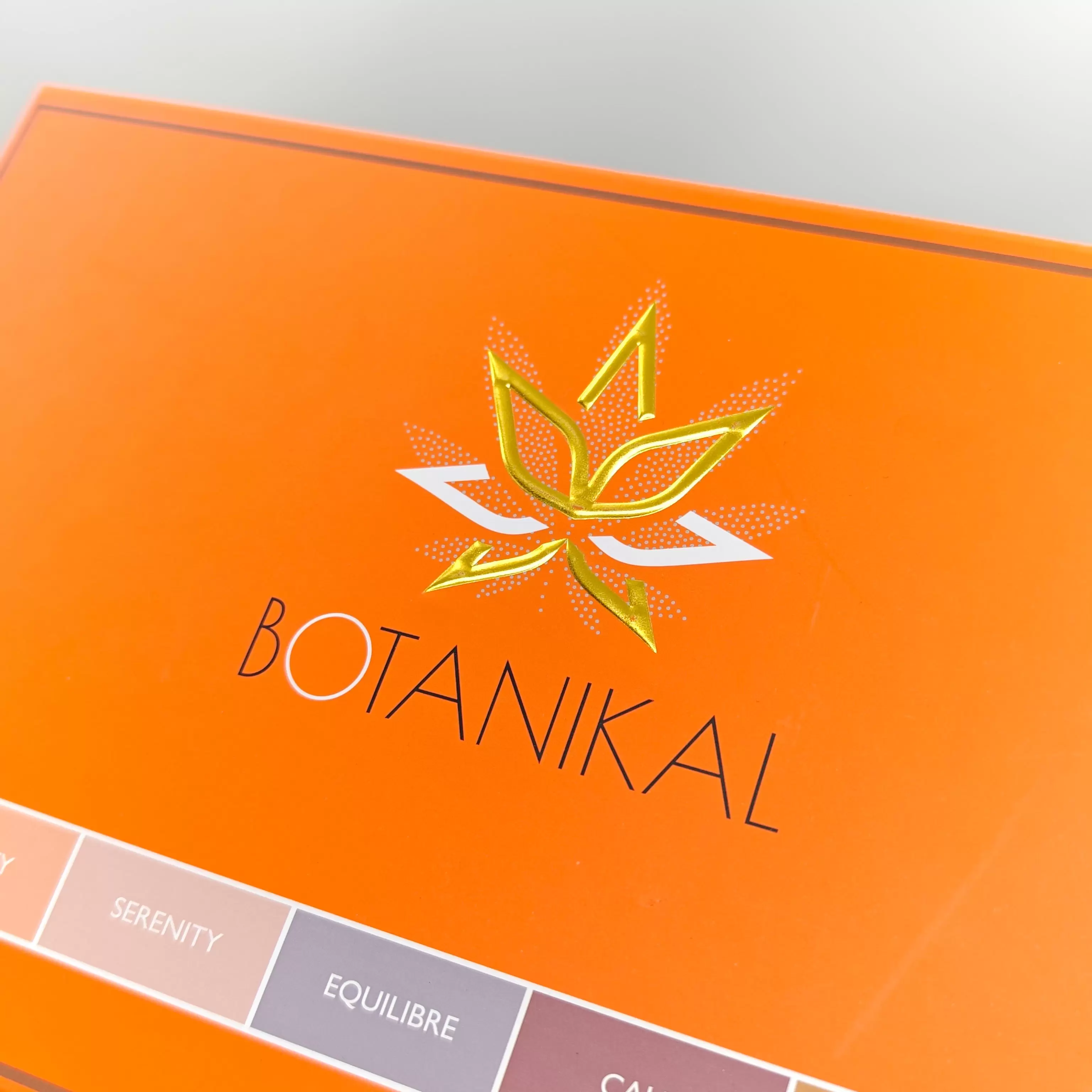  صناديق بإغلاق مغناطيسي 